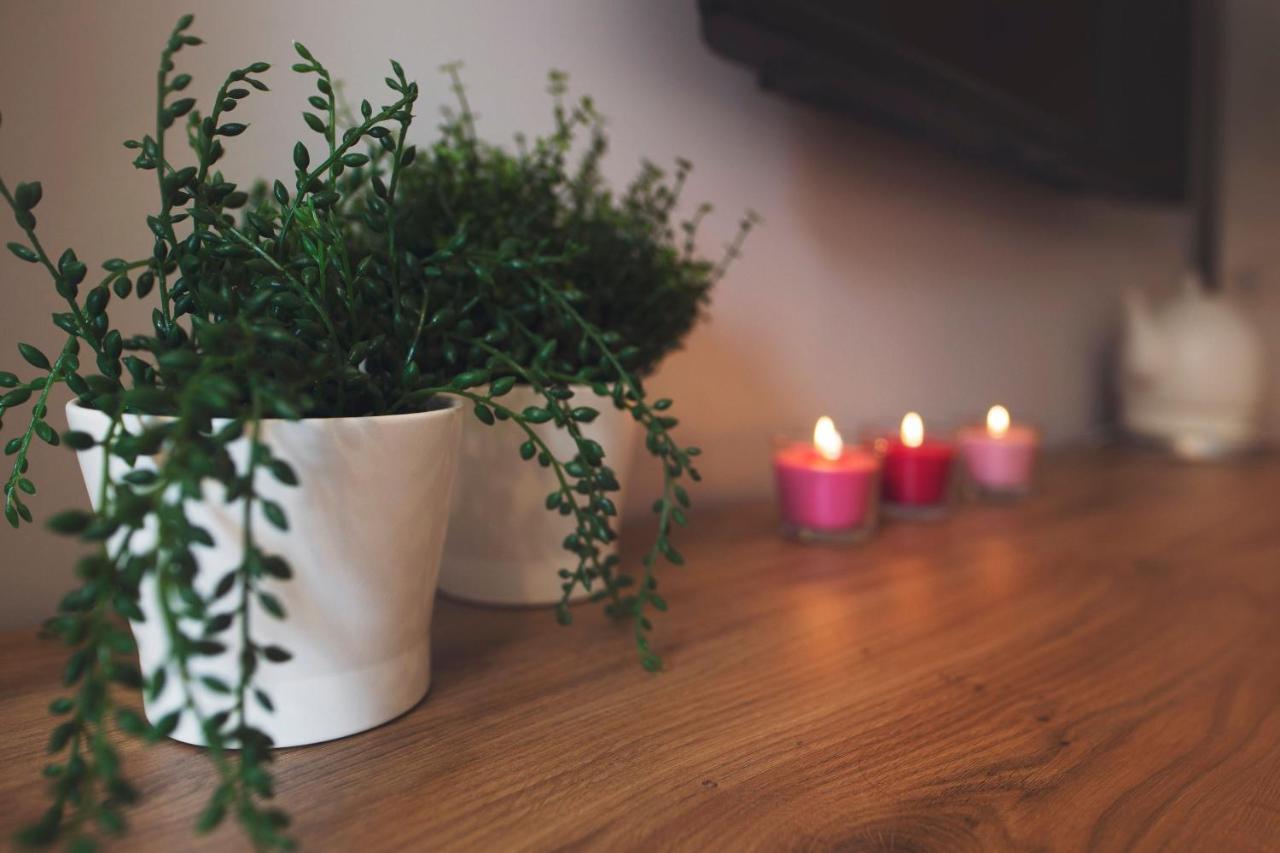 Apartamenty Willove Wzgorze Duszniki Zdroj Ngoại thất bức ảnh